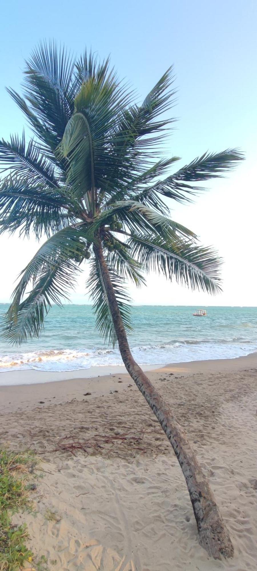 Pousada Sunshine Patacho Rota Ecologica Dos Milagres Pôrto de Pedras Exterior foto