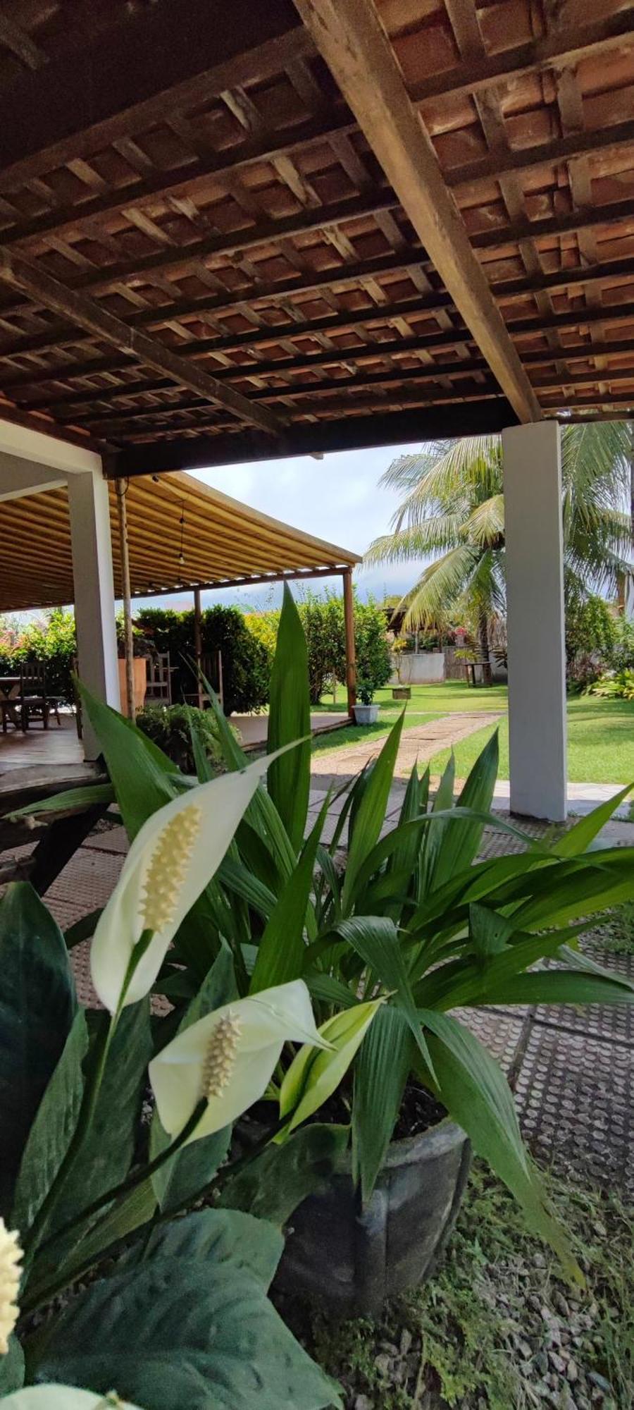 Pousada Sunshine Patacho Rota Ecologica Dos Milagres Pôrto de Pedras Exterior foto